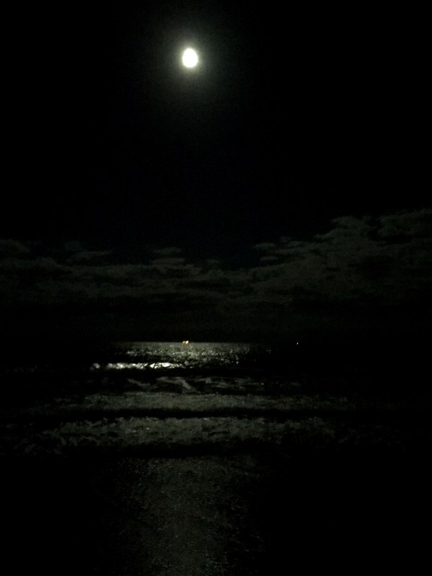 beach at night